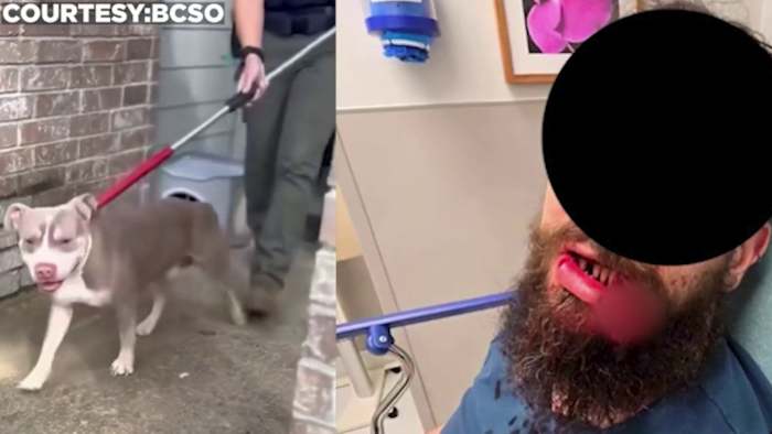 Rechter beveelt de euthanisatie van de hond