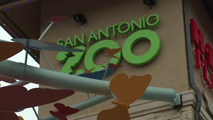 San Antonio Zoo bespreekt veiligheidsmaatregelen na zeer besmettelijke vogelgriep gedetecteerd in New Braunfels Park