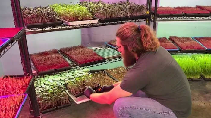 Stedelijke landbouwbeurzen zijn bedoeld om de lokale producten in San Antonio te stimuleren