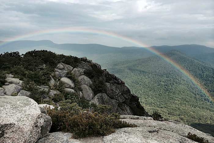 Trump's ontslag van 1.000 National Park -werknemers roept bezorgdheid uit over onderhoud en operationele uren