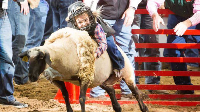 Wat te weten over de San Antonio Stock Show & Rodeo uit 2025