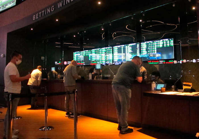 Achtervolging van glorie? Koud, hard geld? Een nieuwe peiling breekt uit waarom mensen de waanzin van maart vullen