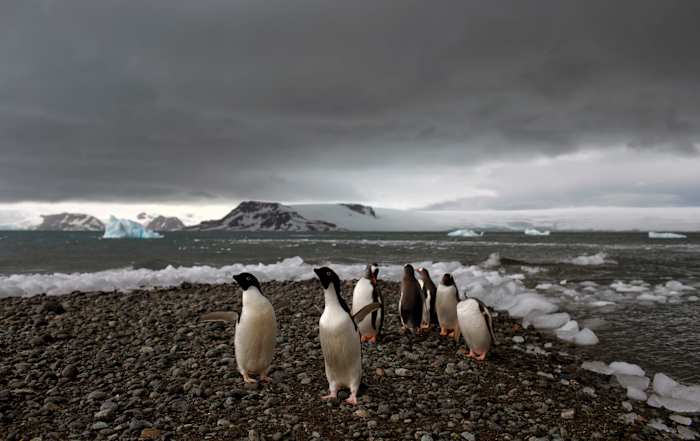 Angst op geïsoleerde Antarctica -basis als een man wordt beschuldigd van het aanvallen van een collega en het maken van bedreigingen