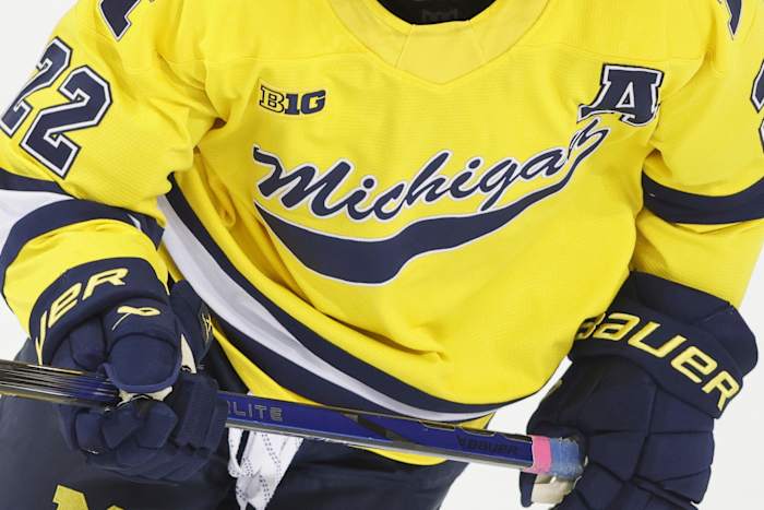 Bied om dames Di Hockey in Michigan te lanceren, Regent Denise Ilitch vertelt de AP