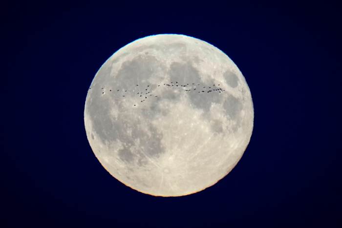 Hier is een blik op Moon Landing -hits en missers