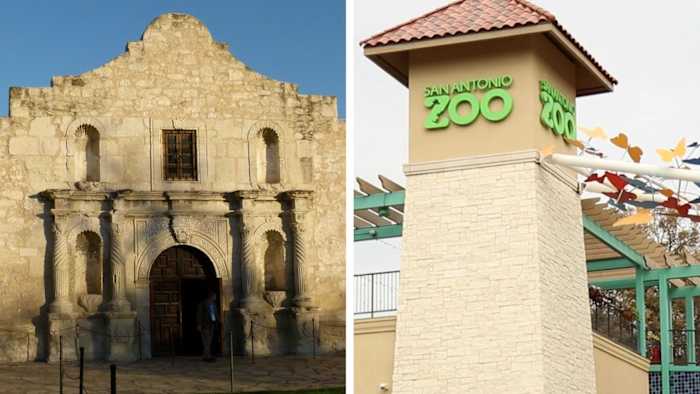 Originele kalksteengroeve gebruikt voor Alamo ontdekt in San Antonio Zoo