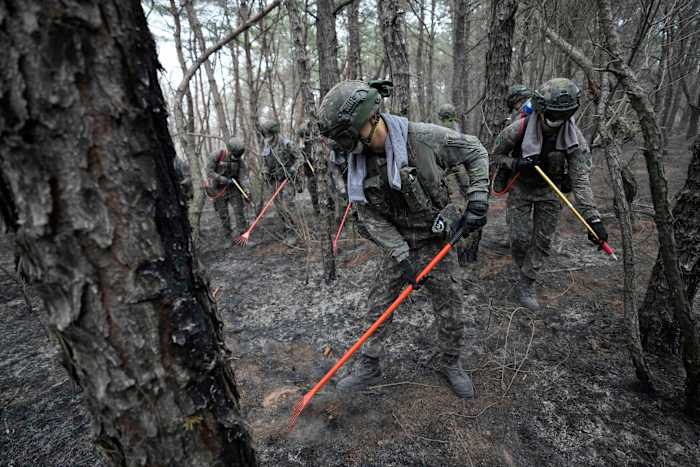 Regen en koeler weer helpen Zuid -Koreaanse brandweerpersoneel vechten tegen bosbranden