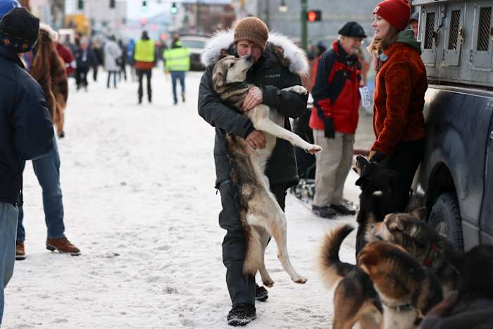 'S werelds beroemdste slee hondenrace is langer dan ooit. Hier is een blik op Iditarod, door de cijfers