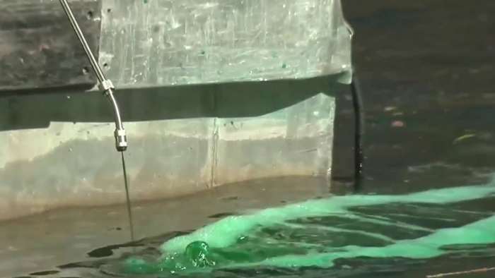 San Antonio River wordt groen voor St. Patrick's Day -traditie en feesten