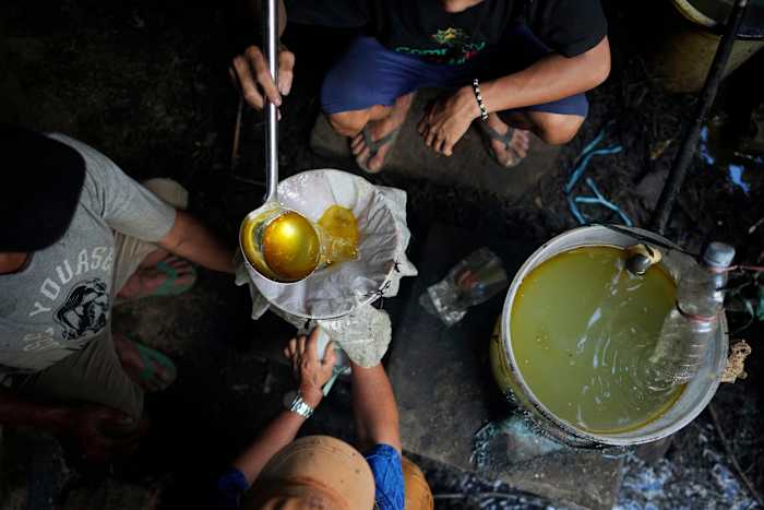 Trends op sociale media stimuleren de Patchouli -olie -industrie van Indonesië. De kosten? Ontbossing