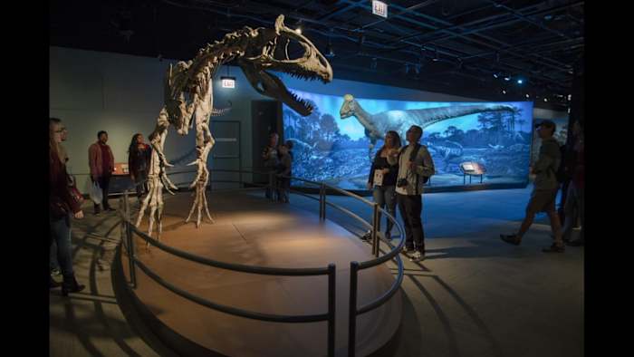 Trump Order Targeting Institute of Museum and Library Services kan mogelijk van invloed zijn op Musea in Texas