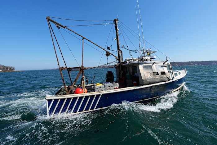 Vissers zeggen dat Trump's doge-budgetverlagingen voorkomen dat ze klimaatvriendelijke technologie aannemen