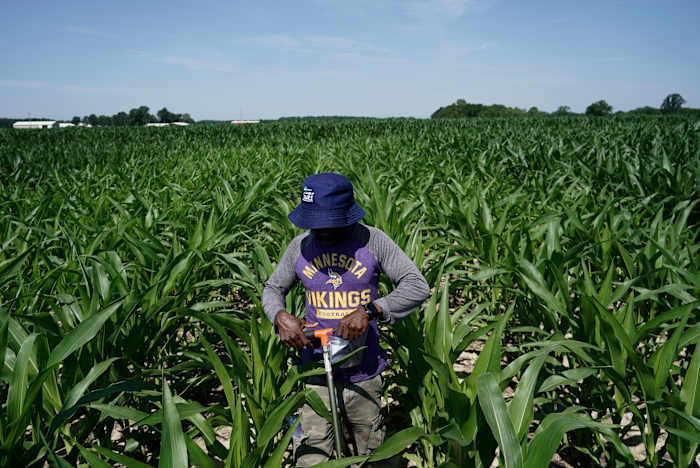 Wetenschappers die de landbouw beschermen tegen klimaatverandering, hebben meer publieke financiering nodig. Maar ze krijgen minder