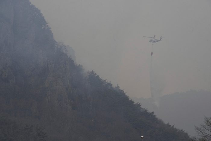 Zuid -Korea worstelt om bosbranden te bevatten die 28 hebben gedood