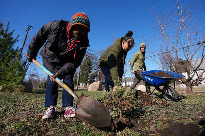 Een sequoia -bos in Detroit? Aanplantingen om de luchtkwaliteit te verbeteren en de Earth Day te markeren