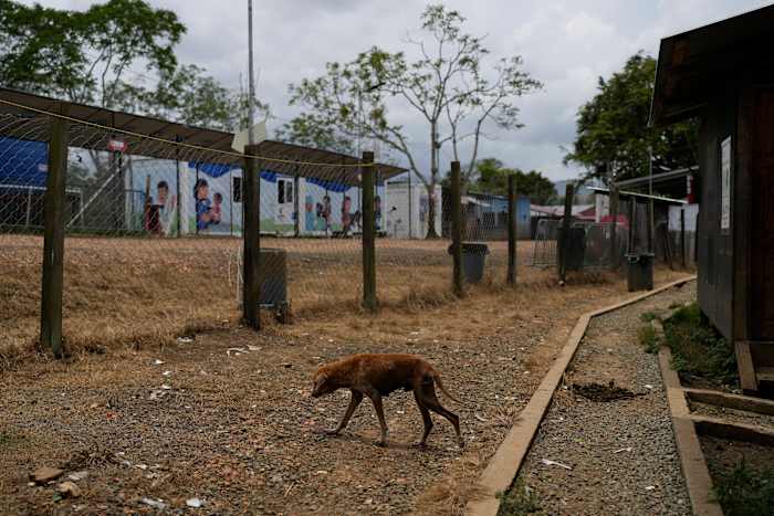 Eens een migrerende snelweg, is de Darien Gap leeg achtergelaten onder Trump -hardoptreden