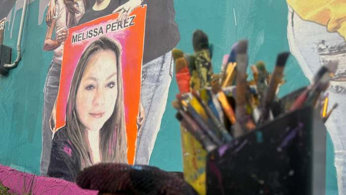 Familie van vrouwen gedood tijdens de geestelijke gezondheidscrisis blijft bijna twee jaar later vechten voor gerechtigheid