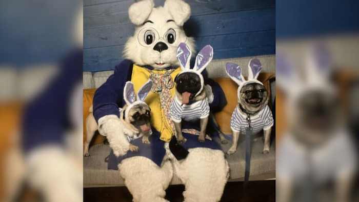 Kijkerfoto's vangen 'Egg-citing'-paasvieringen op KSAT Connect