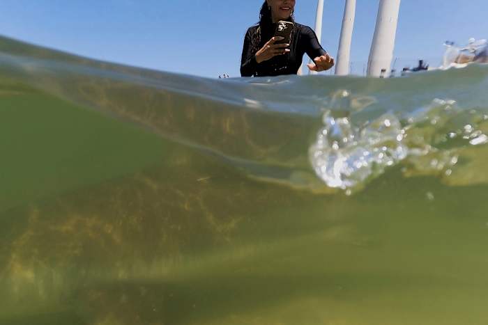 Sharks trok drukte die met hen van de kust van Israël zwom - totdat een man verdween