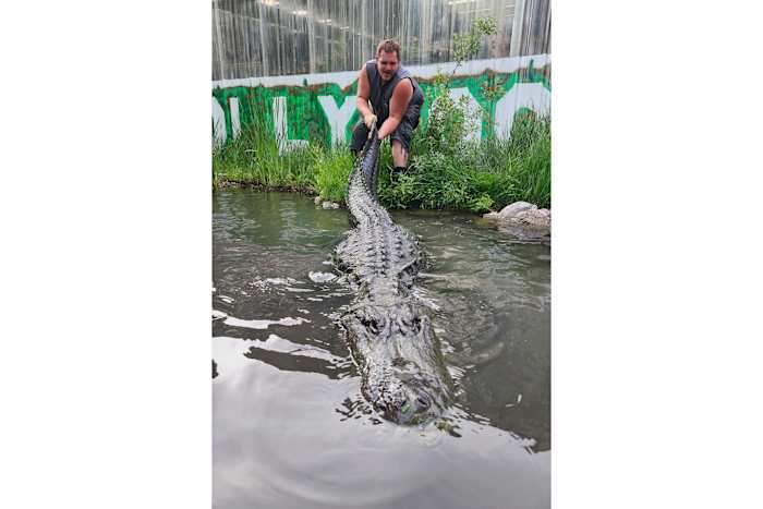 Alligator die speelde in 'Happy Gilmore' sterft van ouderdom in Colorado