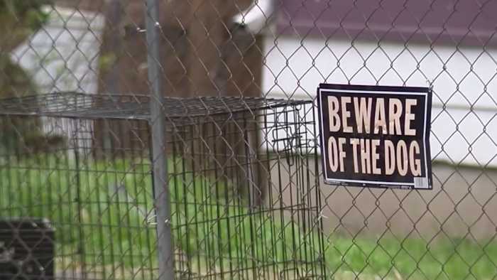 Animal Bite meldt in San Antonio, zegt ACS -directeur