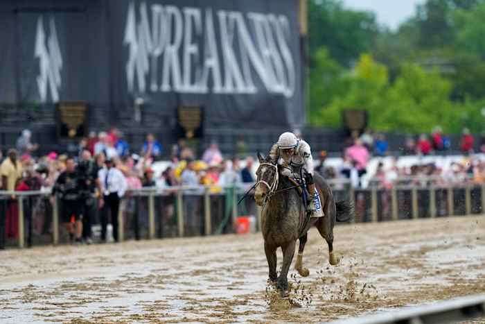 Favoriete Margie's intentie behandelt de slop in Pimlico, wint de zwarte ogen Susan