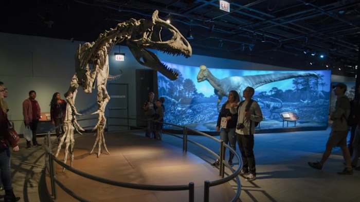 Federale rechter geeft een bevel uit om Institute of Museum and Library Services te herstellen