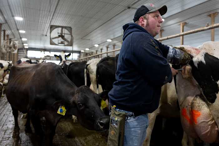 Minder landbouwgrond gaat voor biologische gewassen, omdat kosten en andere problemen schieten