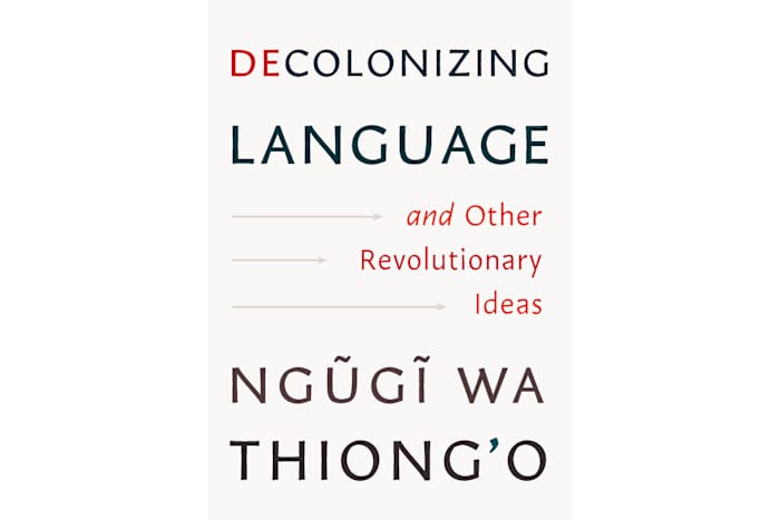 Op 87 -jarige leeftijd blijft de Keniaanse auteur Ngũgĩ wa thiong'o gepassioneerd over de kracht van taal