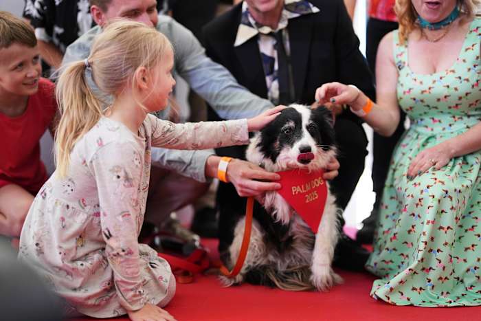 Panda wint de 2025 Palm Dog Award in Cannes-en een look-alike accepteert