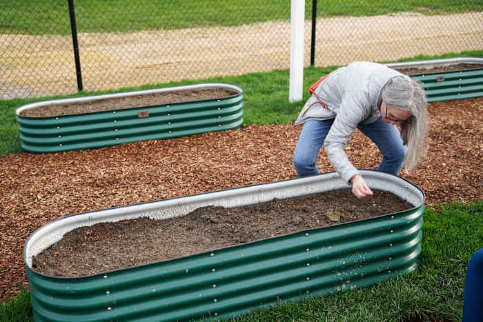 Pauzeer uw zomerplant tot de herfst, krijg betaald met Saws -programma