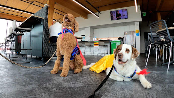 Pooch Parade viert genezende harten, kwispelende staarten