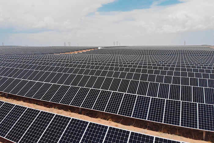 Projecten van $ 14 miljard aan schone energie zijn dit jaar in de VS geannuleerd, zegt analyse