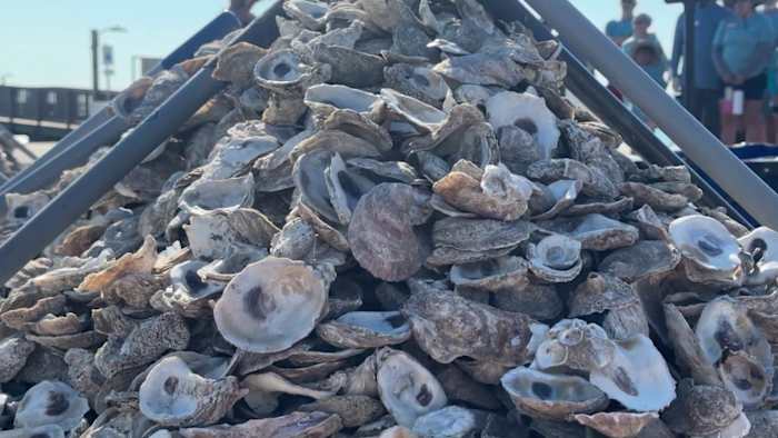 Texas Oyster Reefs zijn uitgeput, maar restaurants in San Antonio kunnen helpen