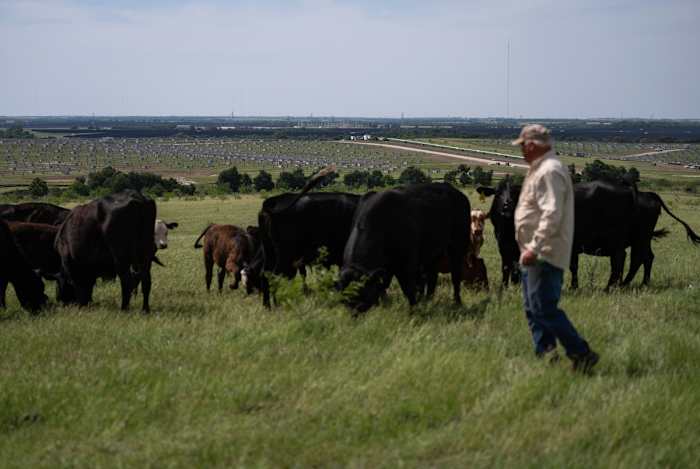 Waarom een ​​centrale boer in Texas een eenmansmissie leidt om hernieuwbare energie te stoppen