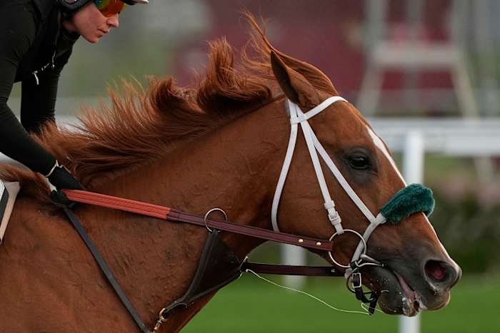 Wat maakt een Kentucky Derby -kampioen? Grote harten, immense longen en krachtige benen