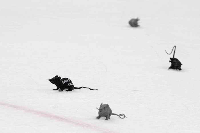 Brad Marchand omarmt de rattengooiende traditie van Panthers, die 30 jaar teruggaat