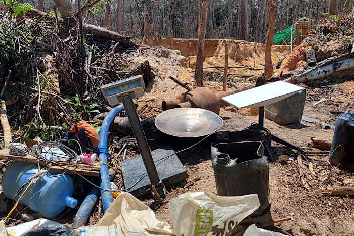 Braziliaanse stakingen gaan over Musk's Starlink om crimineel gebruik in het Amazone -regenwoud te beteugelen