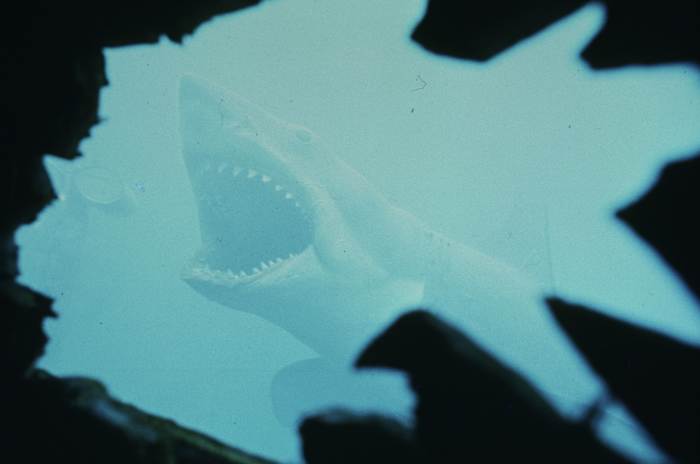 Denk je dat je 'Jaws' kent? Test uw kennis met deze trivia voorafgaand aan het 50 -jarig jubileum van de film