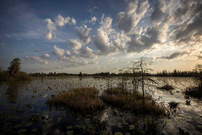Mijnbouwproject in de buurt van het Okefenokee Swamp is vastgelopen over een vergunningvereiste van $ 2 miljoen