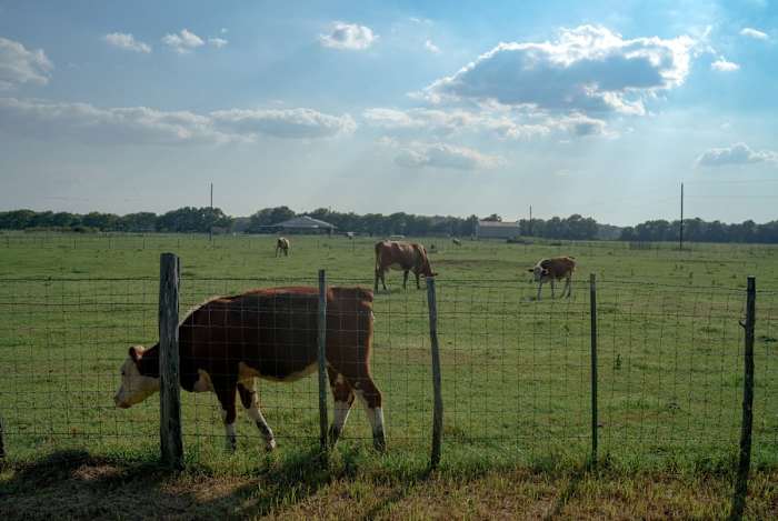 Rekeningen gericht op studeren, waardoor "voor altijd chemicaliën" in Texas falen