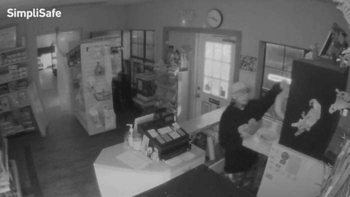 Slangen en contant geld gestolen uit de Pet Pet Store in de noordwestkant, videoshows