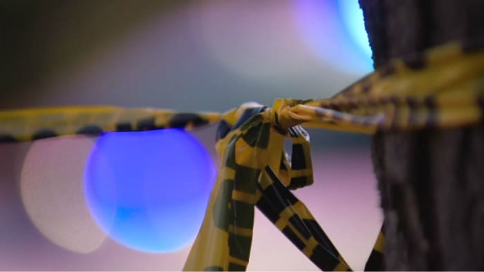 TPWD biedt beloning voor tips na een witstaartherten illegaal gedood in de buurt van New Braunfels