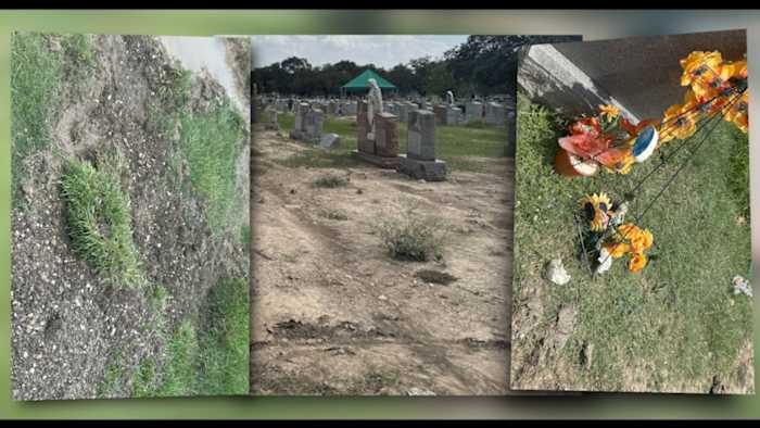 'Zeer teleurgesteld': Family Cleanse's Gravesite te midden van voortdurende schade op West Side Cemetery