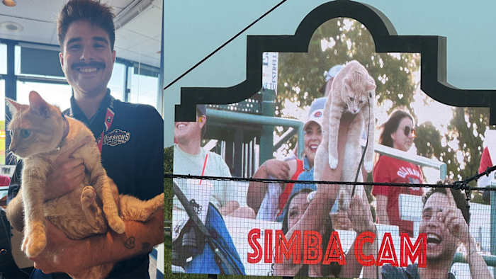 🐾 bezienswaardigheden en geluiden van 'Neem meem niet tegen de balgame'⚾