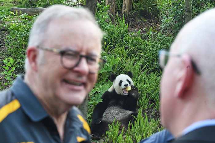 De Australische premier verwent zich aan Panda Diplomacy als het staatsbezoek in China nadert het einde