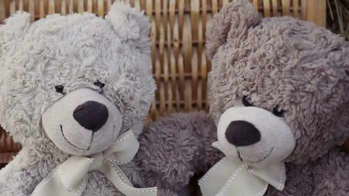 Moeders creëren Facebook -pagina die gezinnen herenigen met knuffels die verloren zijn gegaan in overstromingen van Hill Country