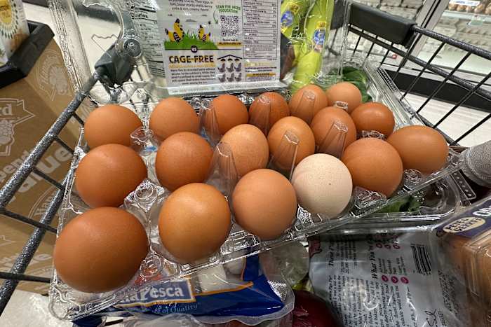 Trump -administratie klaagt Californië aan wegens eierprijzen en geeft de schuld aan de wetten van dierenwelzijn