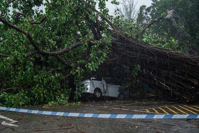 Typhoon Wipha omkeert bomen en veroorzaakt grote vluchtverstoringen in Hong Kong en Zuid -China