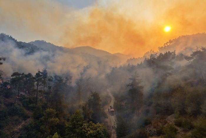 VN -teams worden in de Syrische kust ingezet als bosbranden honderden dwingen om te vluchten